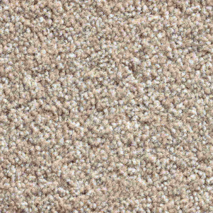 Solstice_Fawn_warm-pale-sandy-beige-with-cream-and-natural-flecked-twist-pile-texture_4m-wide-carpets_5m-wide-carpets_Vanguard_Carpet_Twist-Pile_Dual-Back_Polypropylene_13.5mm-Thick_1760gsm-Total-Weight