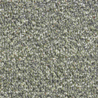 Solstice_Sage_muted-warm-sage-green-grey-with-soft-cream-and-natural-flecked-twist-pile-texture_4m-wide-carpets_5m-wide-carpets_Vanguard_Carpet_Twist-Pile_Dual-Back_Polypropylene_13.5mm-Thick_1760gsm-Total-Weight