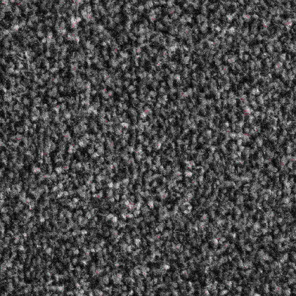 Solstice_Shadow_deep-cool-charcoal-grey-with-dark-and-mid-grey-flecked-twist-pile-texture_4m-wide-carpets_5m-wide-carpets_Vanguard_Carpet_Twist-Pile_Dual-Back_Polypropylene_13.5mm-Thick_1760gsm-Total-Weight