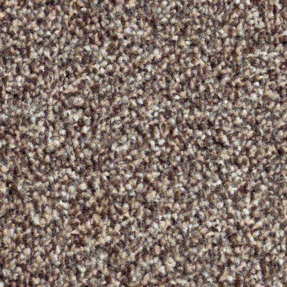 Solstice_Truffle_warm-mid-taupe-brown-with-darker-brown-and-cream-flecked-twist-pile-texture_4m-wide-carpets_5m-wide-carpets_Vanguard_Carpet_Twist-Pile_Dual-Back_Polypropylene_13.5mm-Thick_1760gsm-Total-Weight